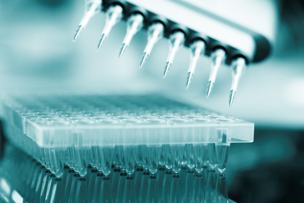 病理診断薬の開発