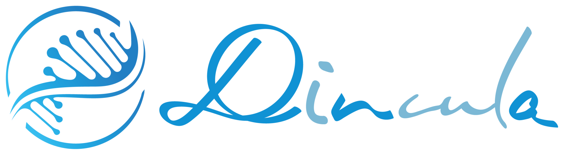 株式会社 Dincula